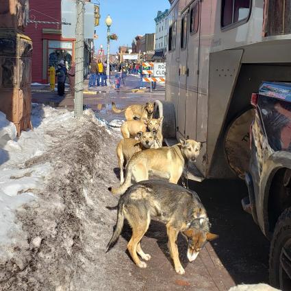 Moetown team at Copper Dog race in Houghton- photo by Frank Moe