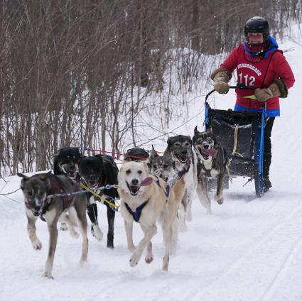 Martha Schouweiler during the 2018 Beargrease. Photo by CJ Heithoff