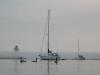 Geese and boats on the Grand Marais Harbor by David Grinstead