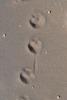 Footprints in the Sand by David Grinstead