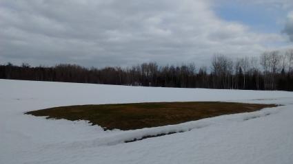 The Gunflint Hills driving range on April 4 - there is just the tiniest hint of green. Photo courtesy of Grand Marais Park Dept.