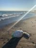 Balloon debris on a Great Lakes beach. Submitted photo