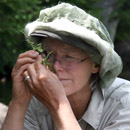 Chel Anderson photo via MBS Chel Anderson photo via MBS