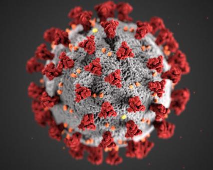 Coronavirus, COVID-19. Image courtesy of the CDC