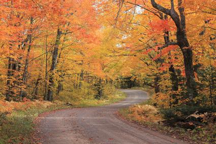 Fall Colors on the Honeymoon Trail by Travis Novitsky