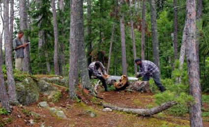 All of the fire researching sampling was done with hand saws and other hand tools. Photo by Evan Larson