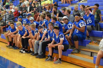 Fans cheer on the Vikings volleyball team.  WTIP file photo from 2018.