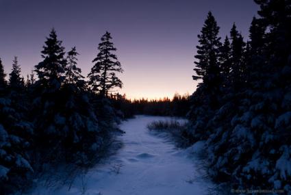 Frozen Stream, Purple Sky by Bryan Hansel Frozen Stream, Purple Sky by Bryan Hansel