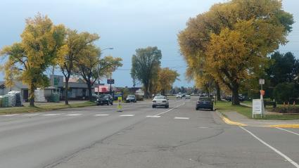 The Grand Marais elm trees, as they looked on October 8, 2019 - Photo by Rhonda Silence