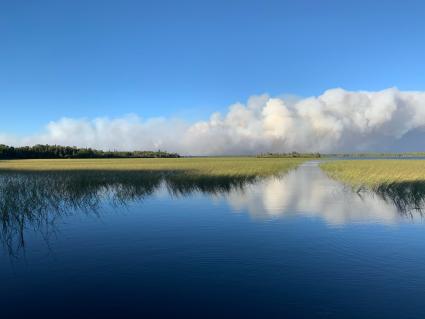 Greenwood Fire in Lake County. Photo courtesy of the US Forest Service