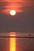 Gull on ice - Sunrise, Wauswaugoning Bay by Travis Novitsky