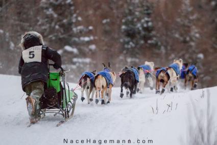 Gunflint Mail Run by Nace Hagemann