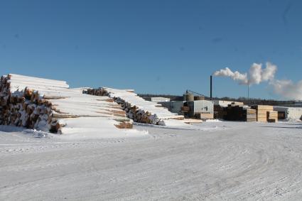 Hedstrom Lumber - logs and building in snow - Photo by Rhonda Silence