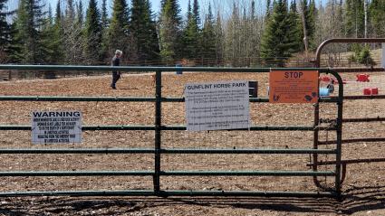 A dog owner enjoys an afternoon romp at the Sawtooth Saddle Club horse arena on May 6. Photo by Rhonda Silence