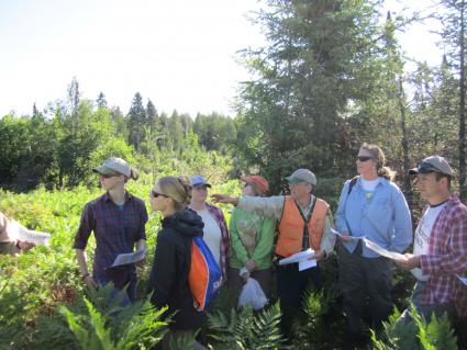 Dave Ingebrigtsen explains how a new habitat project will benefit moose (Shawn Perich)