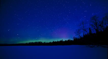 Northern Lights and The Pines on the Gunflint by Stephan Hoglund