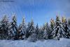 January Forest - Grand Portage, by Travis Novitsky