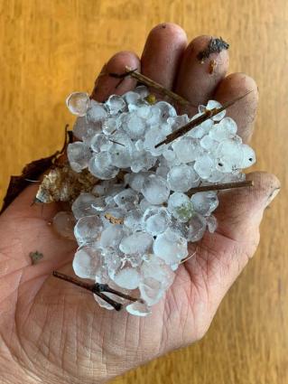 Hail from a June 30 storm in Cook County. Photo by Kristin DeArruda-Wharton