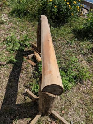 Black ash log