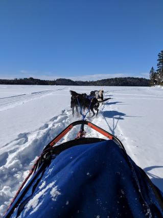 Mushing on Bearskin lake