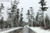 First Snow on the Gunflint by Travis Novitsky