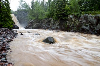 Rosebush Creek flooding (Stephan Hoglund)