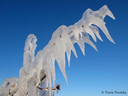 Shrouded in Ice - Artists Point, Grand Marais by Travis Novitsky