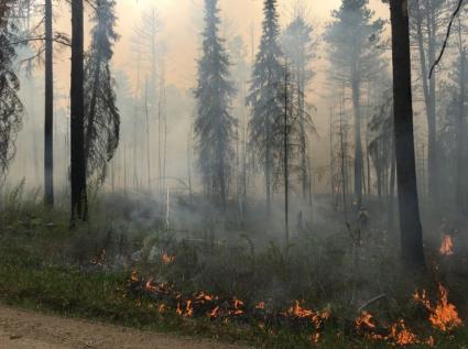 Tomahawk prescribed burn - Photo courtesy of US Forest Service Zone Fire Management Officer Patricia Johnson