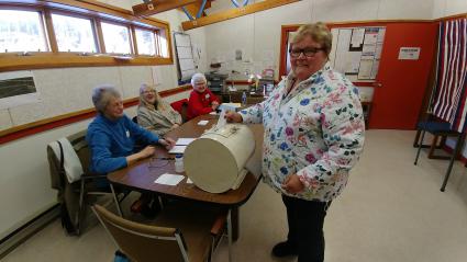 Cheryl Buckman casts her vote in the Schroeder township election