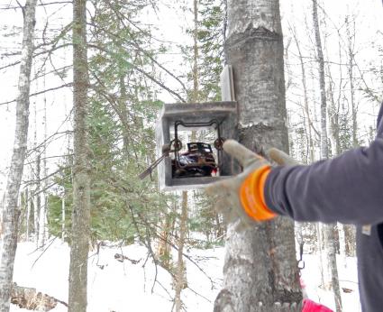 Trapping is common in parts of Cook County. Photo by Matthew Baxley