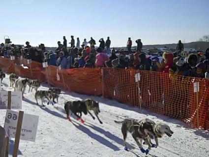 Dogs taking off at the start of the Beargrease Marathon, photo by Barbara Jean Johnson