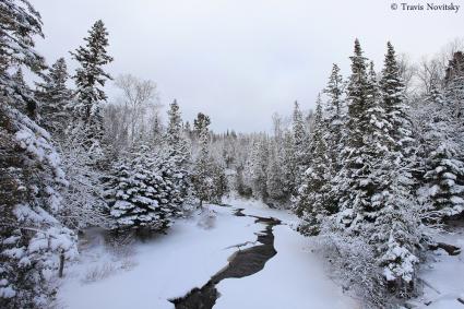 Winter on the Cascade by Travis Novitsky