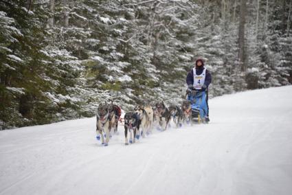 Erin Altemus passes through Devil Track Campground during the 2021 Beargrease Marathon. Photo by Carl Anderson