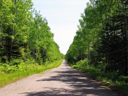 Section of former Hwy. 61, northern Cook County by Andrew Munsch