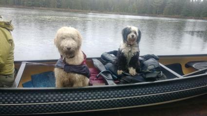 Eden (on the right) rides in a canoe shortly after being rescued in the BWCA. Photo courtesy of Elinor Werner