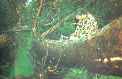 A BWCA camper after the July 4, 1999 Blowdown. Photo courtesy of Jim Cordes