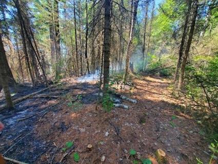 The Astray Fire from July 2021. Photo by by Brendan O'Neil/USDA Forest Service