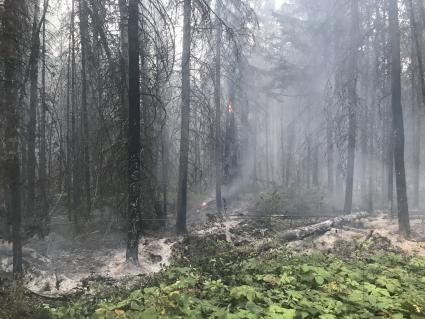 Greenwood Fire burns near Lake County Highway 2. Photo by Byron Boler