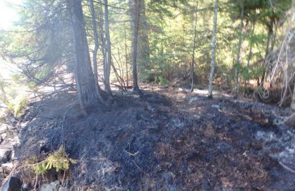 The scene of the fire on West Bearskin Lake on May 20. Photo by Jim Lundorff