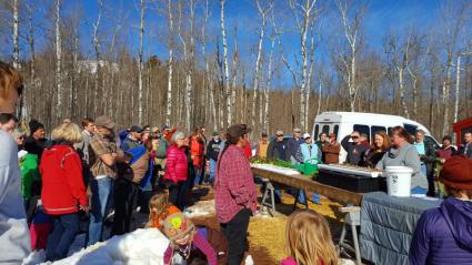 More than 100 people attended a public unveiling of the winter greenhouse in Finland. Photos by Ann Possis