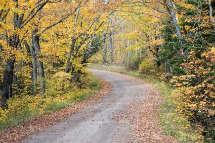 Fall Colors (Photo by Bryan Hansel)