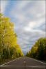 Fall on the Gunflint Trail by Bryan Hansel