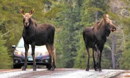 Photo courtesy of Big Bear Lodge. 