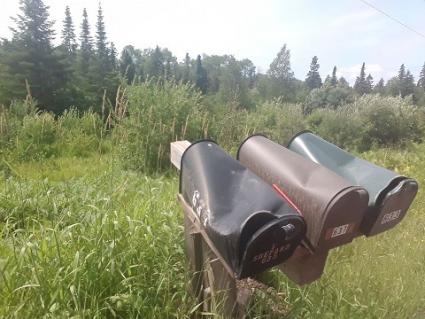 Mailboxes were struck with some sort of heavy object