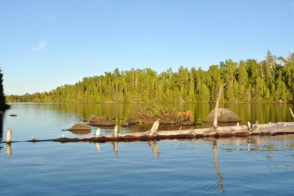 Poplar Lake near the entrance to the Boundary Waters Canoe Area Wilderness. All photos by Maggie Friedrichs