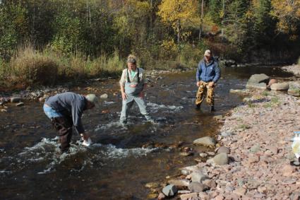 Researchers collect samples of rock snot on the Devil Track River in Oct 2021. Photo by Joe Friedrichs